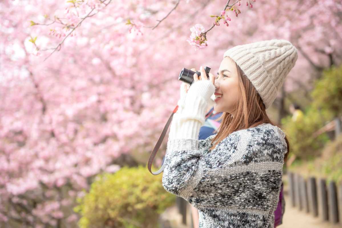 Cherry Blossom Viewing Guide for Japan 2025